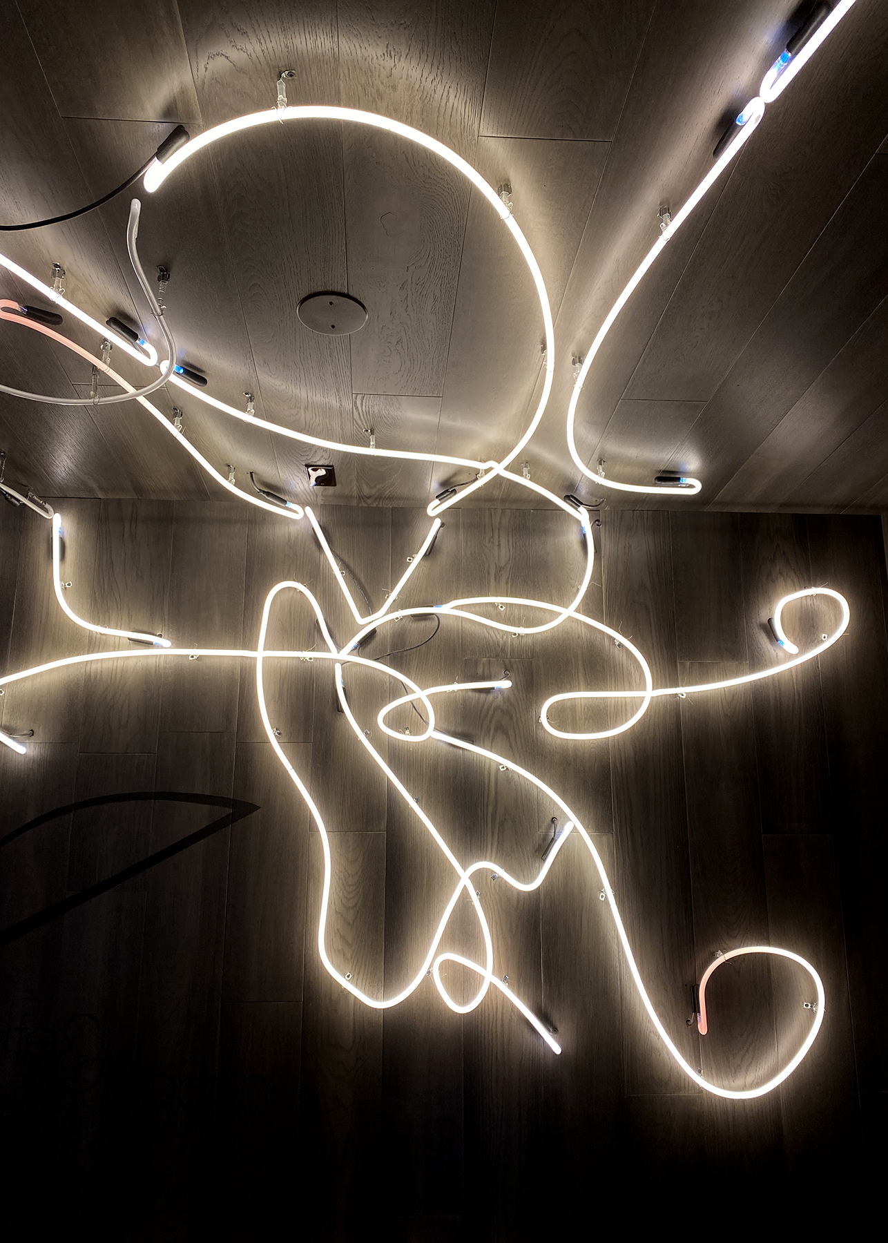 Black Friday Exclusive