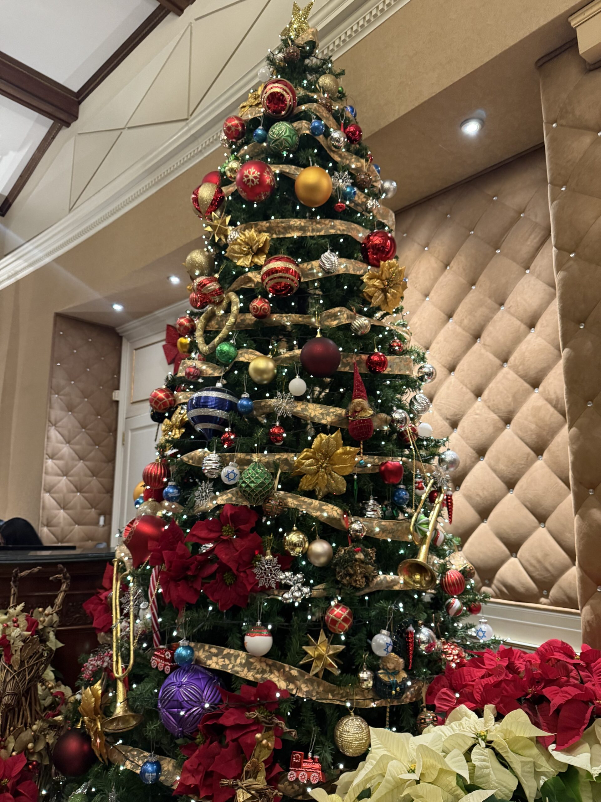 Non Profit Sponsor in New Rochelle NY